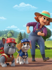 Rubble & Crew