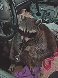 My Strange Arrest