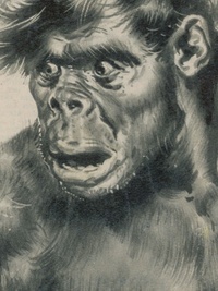 History's Greatest Mysteries
