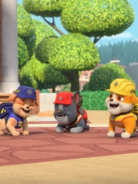 Rubble & Crew