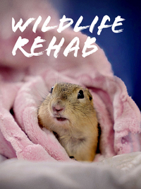 Wildlife Rehab