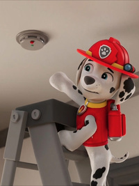 PAW Patrol