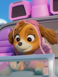 PAW Patrol