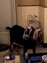 How I Met Your Mother