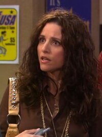 The New Adventures of Old Christine