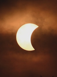 The Proof Is Out There