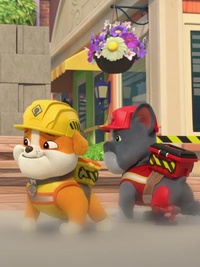 Rubble & Crew