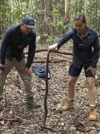Aussie Snake Wranglers: Deadly Pursuit