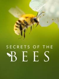 Secrets of the Bees