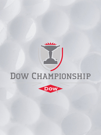 LPGA Tour Golf