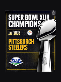 Super Bowl XLIII Champions: 2008 Pittsburgh Steelers