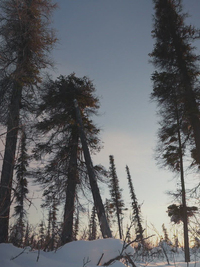 Alone