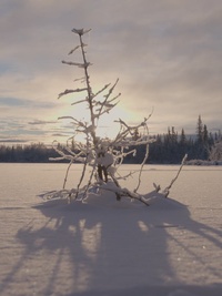 Alone