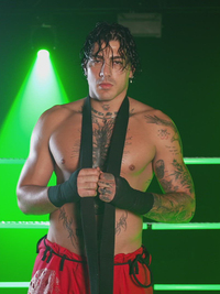 WWE LFG