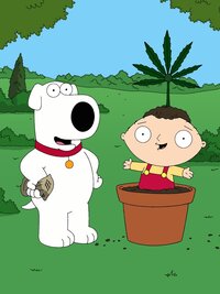 Family Guy