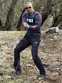 Criminal Minds