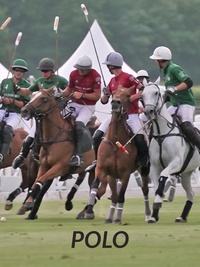 Polo