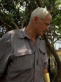 River Monsters