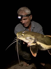 River Monsters