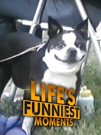 Life's Funniest Moments