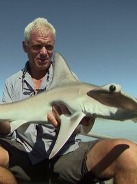 River Monsters