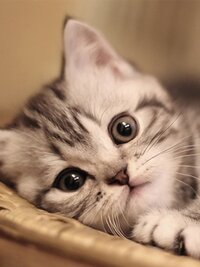 Too Cute!