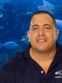 Tanked