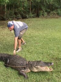 Gator Boys